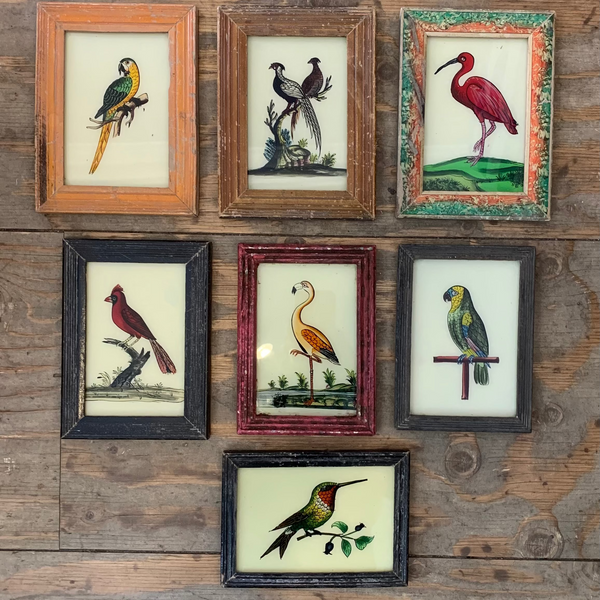 VintageglassFramedPaintingsBirdsSmall