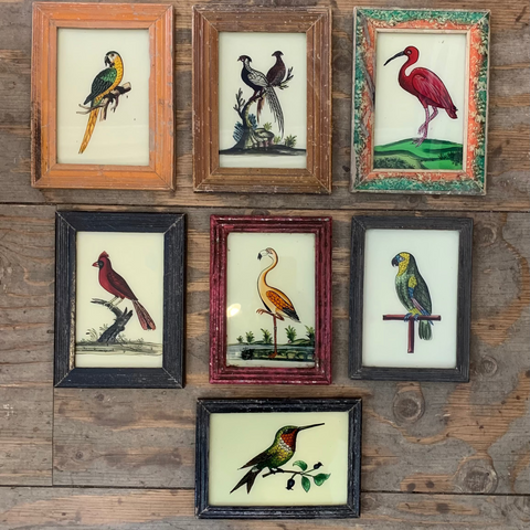 VintageglassFramedPaintingsBirdsSmall