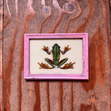Vintage Glass Framed Painting Animals  Medium frog