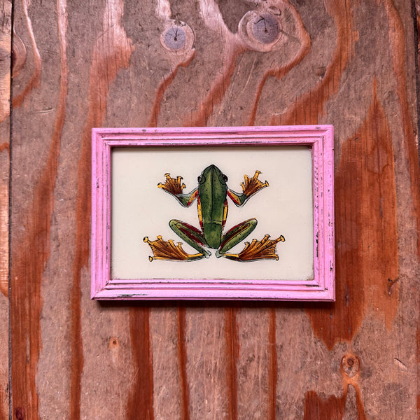 Vintage Glass Framed Painting Animals  Medium frog