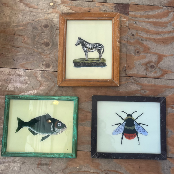 Vintage Glass Framed Painting Animals and Insects - Medium Bee