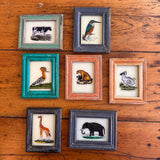 Vintage Glass Framed Painting Animals mini