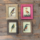 Vintage Glass Framed Painting Birds - Mini