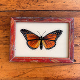 Vintage Glass Framed Painting Birds - Orange Butterfly Small washed red frame