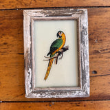Vintage Glass Framed Painting Birds - Parrot Small washed pink frame