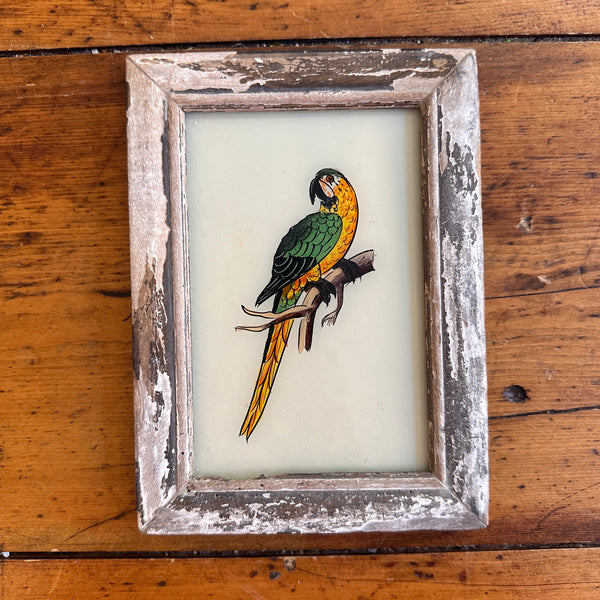 Vintage Glass Framed Painting Birds - Parrot Small washed pink frame