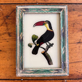 Vintage Glass Framed Painting Birds - Toucan Small blue frame