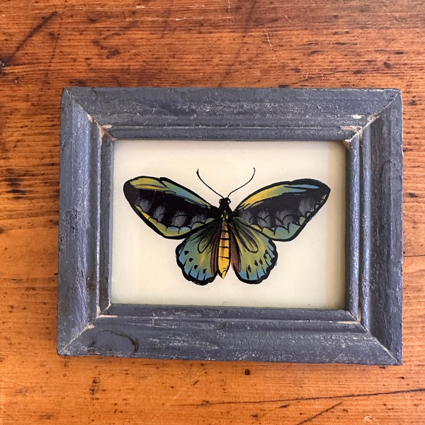  Vintage Glass Framed Painting Insects - Blue Butterfly