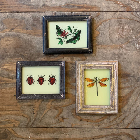 Vintage Glass Framed Painting Insects - Mini Butterflies