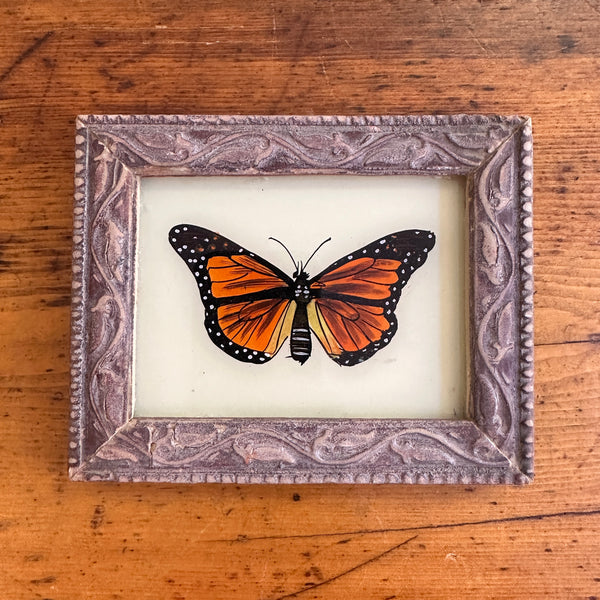 Vintage Glass Framed Painting Insects - Orange Butterfly