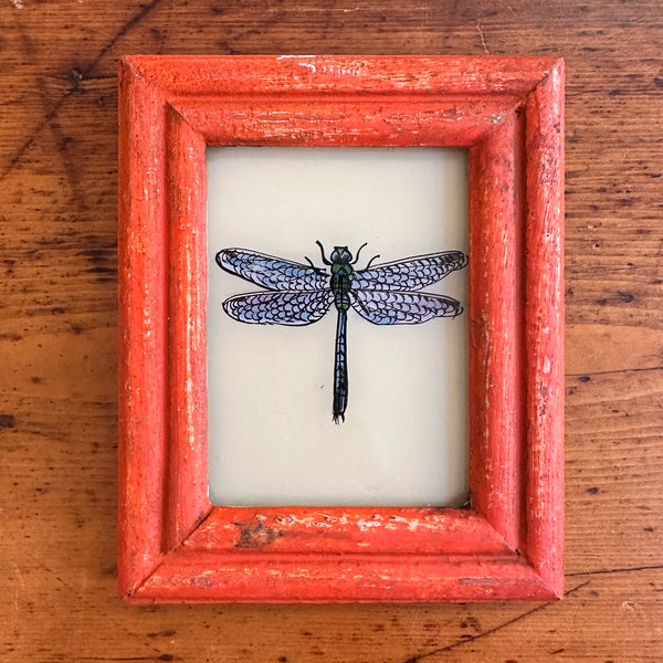 Vintage Glass Framed Painting Insects - dragonfly