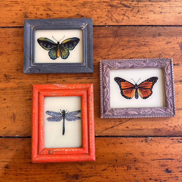 Vintage Glass Framed Painting Insects all three