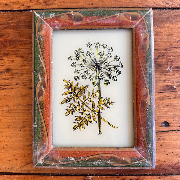 Vintage Glass Framed Painting Plants - Dandelion Small patterned frame