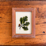 Vintage Glass Framed Painting Plants - acorn