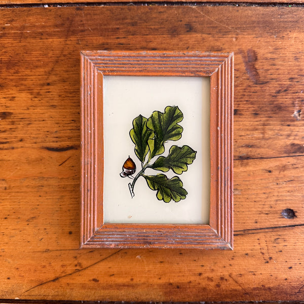 Vintage Glass Framed Painting Plants - acorn