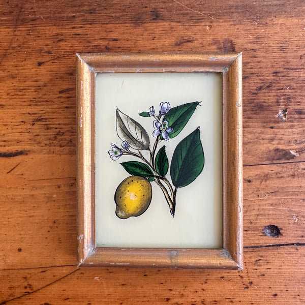Vintage Glass Framed Painting Plants - lemon
