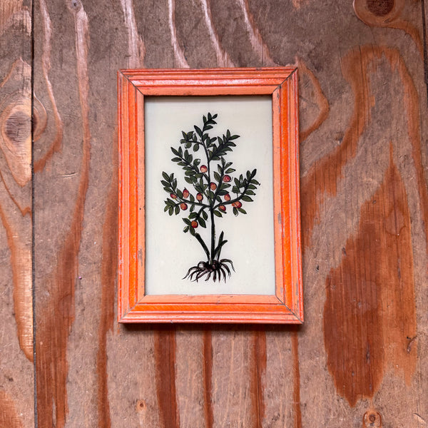 Vintage Glass Framed Painting Plants Medium apple tree