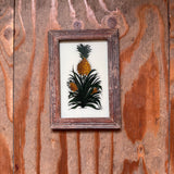 Vintage Glass Framed Painting Plants Medium pineapple