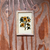 Vintage Glass Framed Painting Plants Medium sunflower