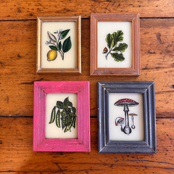 Vintage Glass Framed Painting Plants all four