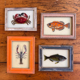 Vintage Glass Framed Painting Sea Animals - All four small prints