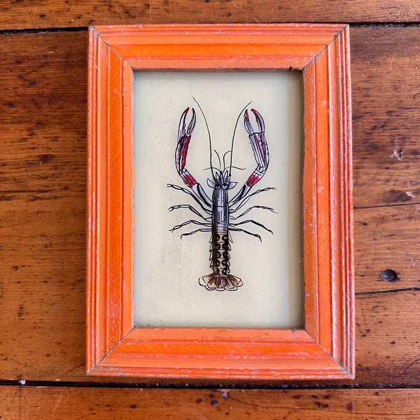 Vintage Glass Framed Painting Sea Animals - Lobster orange frame