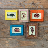 Vintage Glass Framed Painting Sealife - Mini