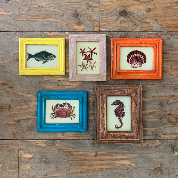 Vintage Glass Framed Painting Sealife - Mini