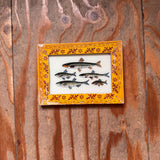Vintage Glass Framed Painting Sealife Medium fish