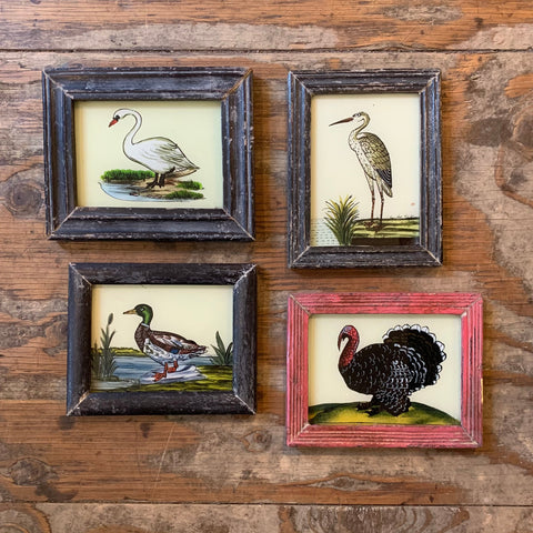 Vintage Glass Framed Paintings Birds - Mini Duck