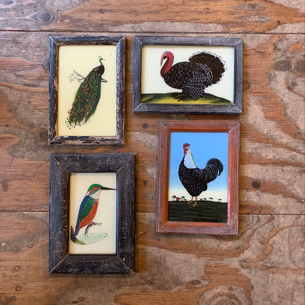 Vintage Glass Framed Paintings Birds -3
