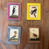 Vintage Glass Framed Paintings Exotic Birds - Medium