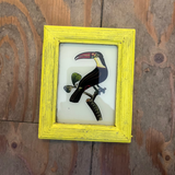 Vintage Glass Framed Paintings Exotic Birds - Medium