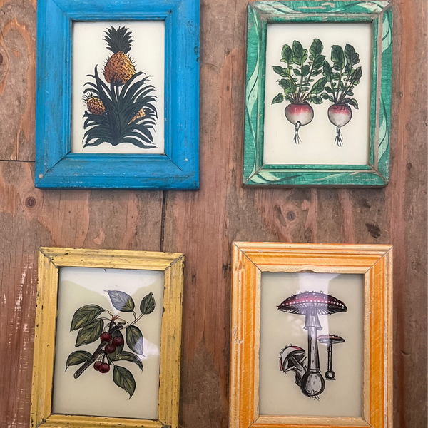 Vintage Glass Framed Paintings Fruit and Veg - Small