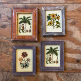Vintage Glass Framed Paintings Nature - Mini Coconut, Dark Brown Frame