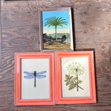 Vintage Glass Framed Paintings Nature