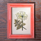 Vintage Glass Framed Paintings Nature dandylion