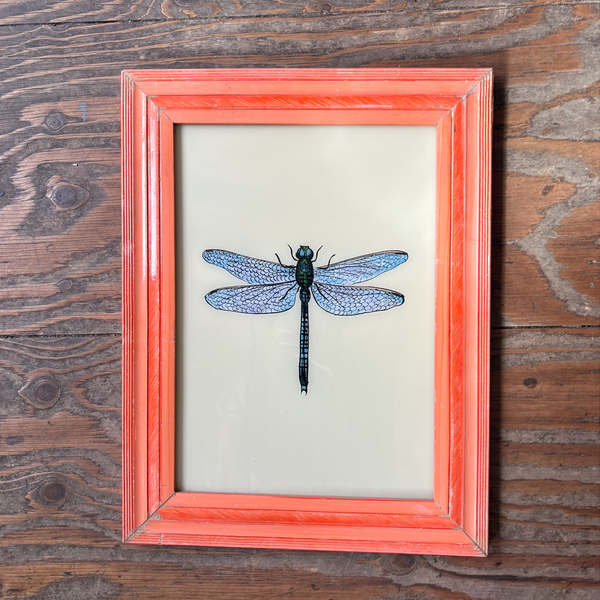 Vintage Glass Framed Paintings Nature dragonfly