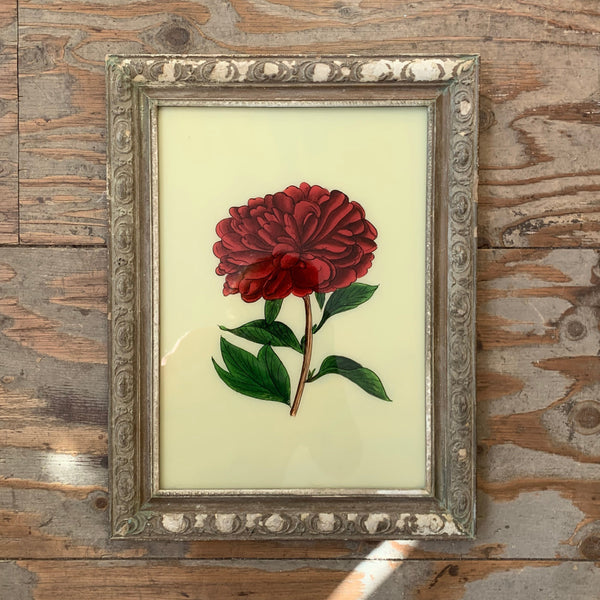 Vintage Glass Framed Paintings Red Peony - Large