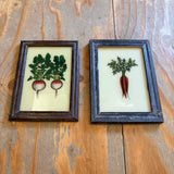Vintage Glass Framed Paintings Vegetables