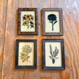 Vintage Glass Framed Paintings