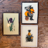Vintage Glass Framed Plant Paintings - Large Iris
