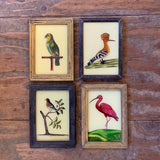 Vintage Glass Framed Paintings Birds - Small