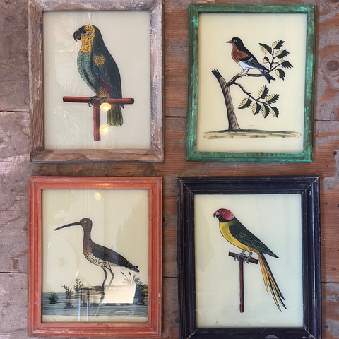 Vintage Glass Paintings Birds - Medium Green Parrot