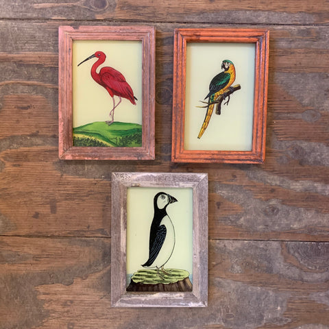 Vintage Glass Framed Paintings Birds - Small