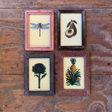 Vintage Glass Framed Paintings Nature - Small