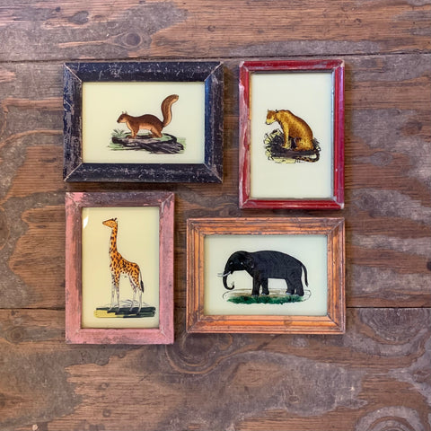 Vintage Glass Framed Paintings Animals - Small