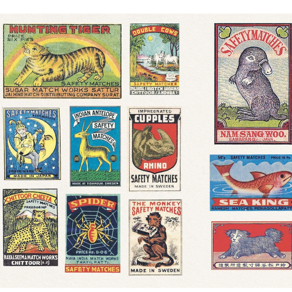 A sheet of vintage matchbox stickers featuring various illustrated animal and nature designs, including a tiger, mink, rhino, spider, monkey, sea fish, and a cat, arranged on a white background.