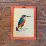 Vintage Glass Framed Painting Kingfisher - Large