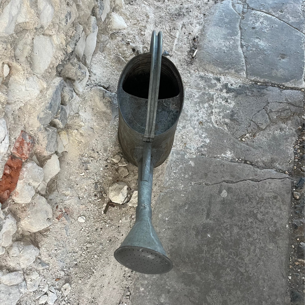 Metal watering can on a stone pavement